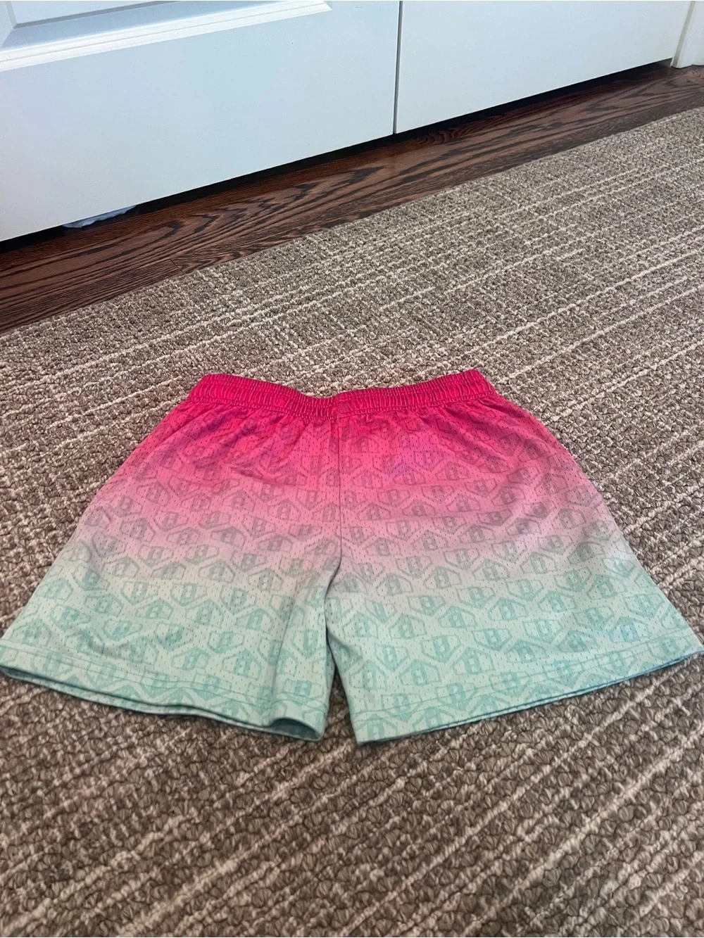 Baseball Lifestyle 101 Watermelon Shorts YL